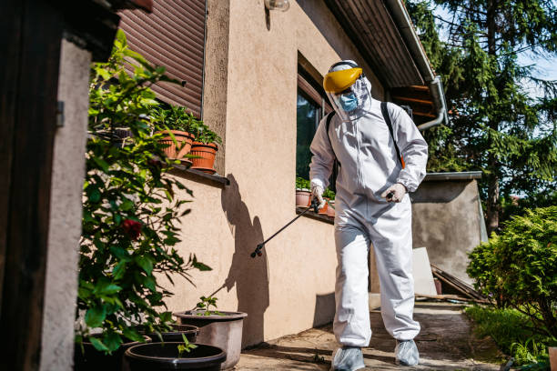 Best Wasp Removal Services  in Dalworthington Gardens, TX