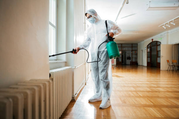 Reliable Dalworthington Gardens, TX Pest Control Solutions